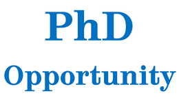 PhD opportunity at the MBN Research Center